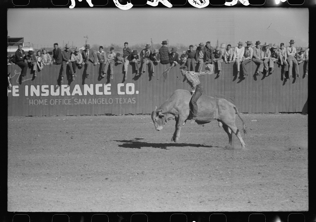 Rodeo at the San Angelo Fat Stock Show, 1940